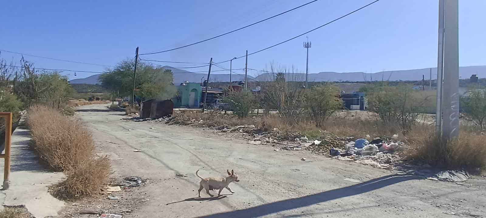 Piden pavimento en el Campanario