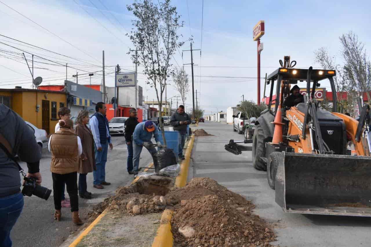 Arranca Piña Programa de forestación 