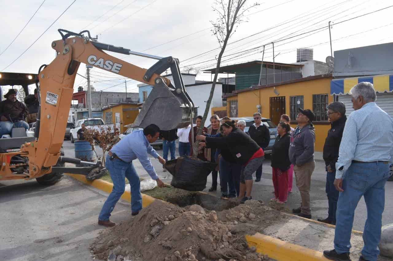 Arranca Piña Programa de forestación 