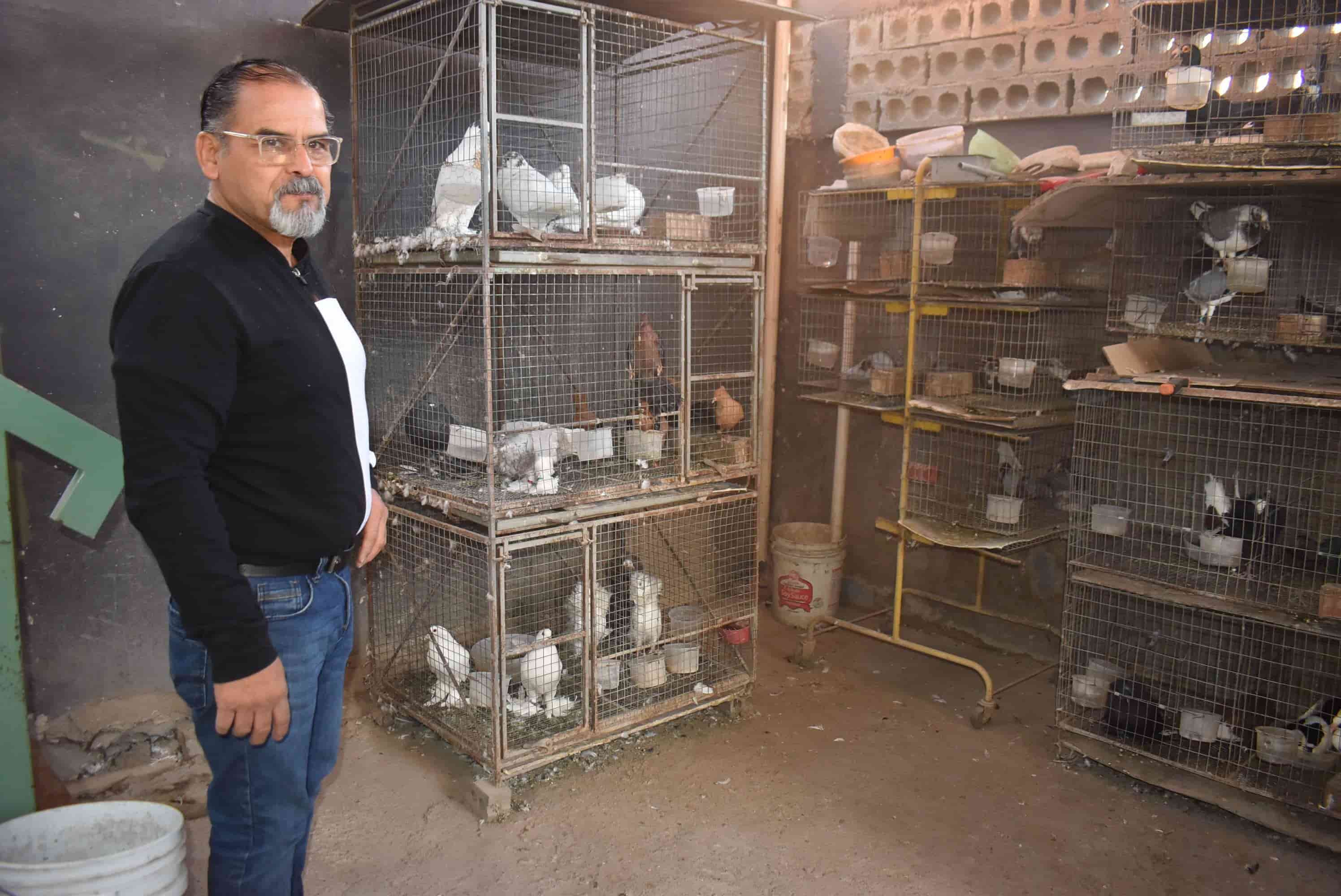 Monclovense tiene 300 especies de palomas: Busca que puedan estar exhibidas