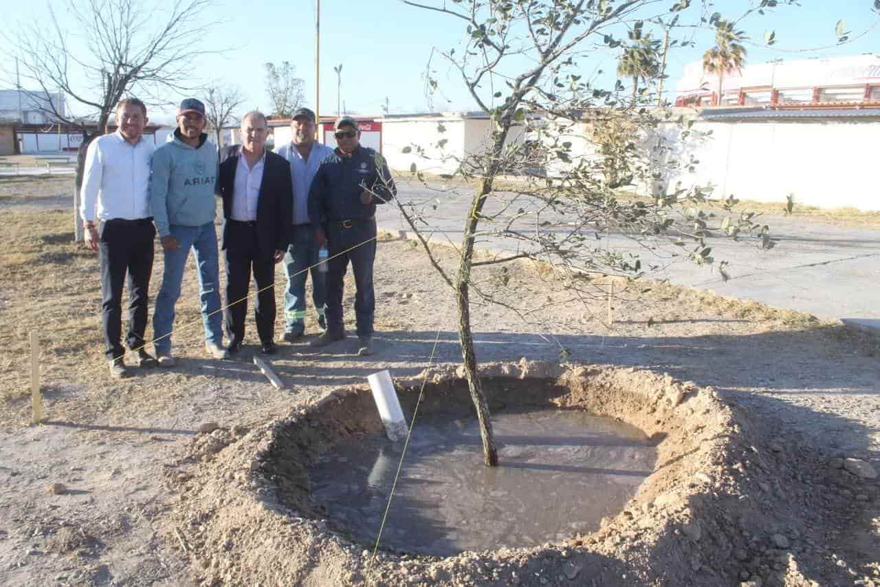 Arranca Hugo Reforestación