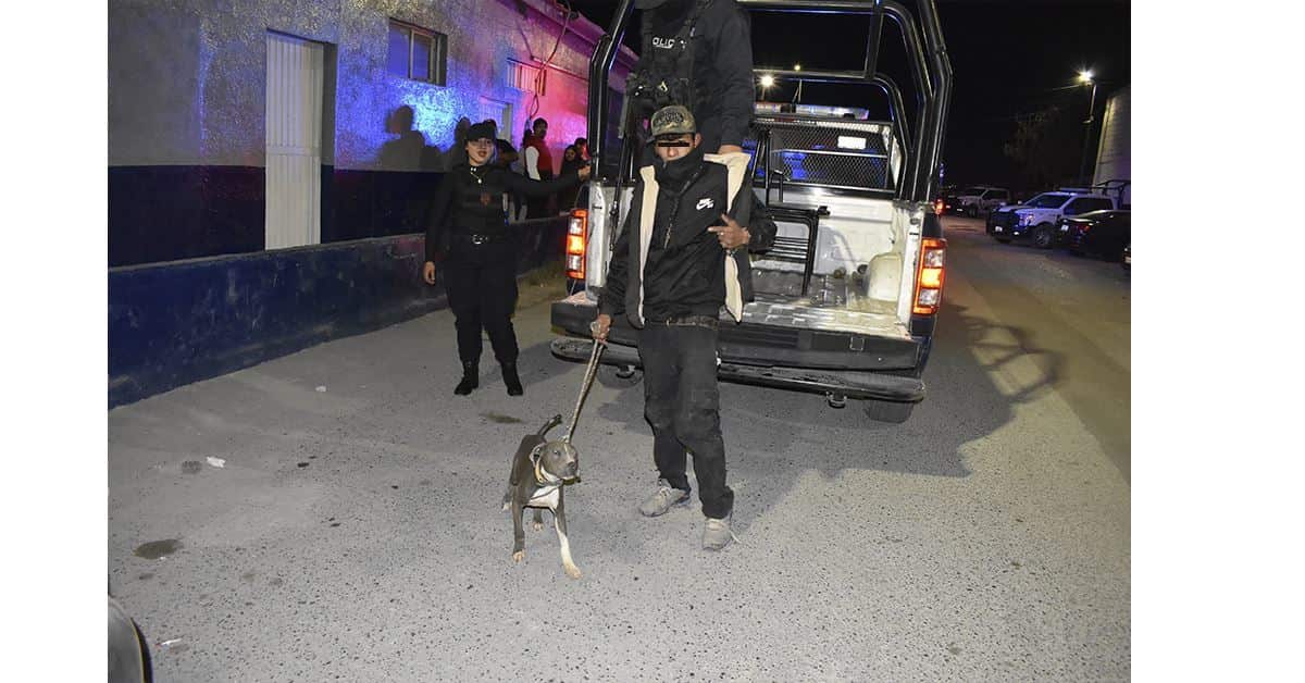 El menor fue llevado a la Comandancia con todo y su perro.