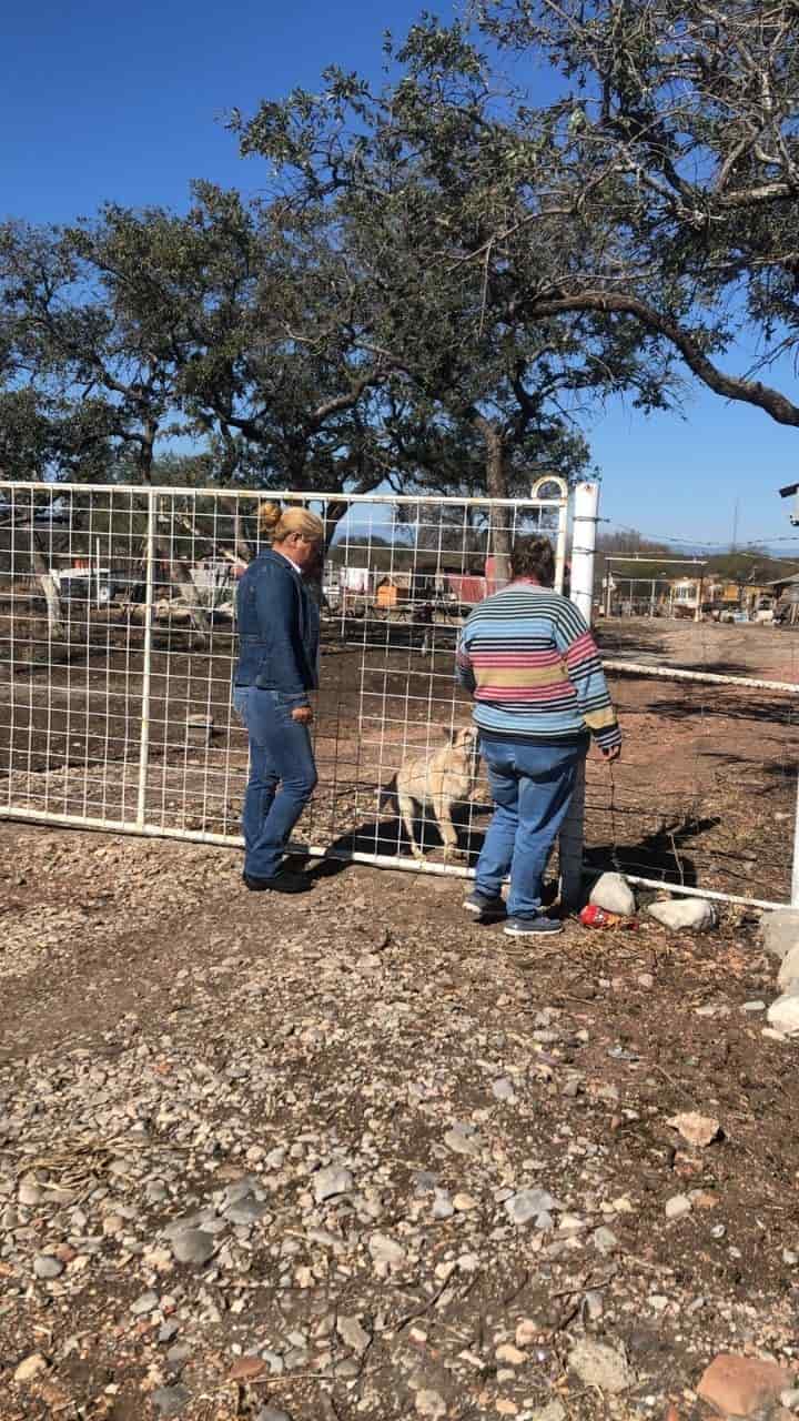 Dirige Tania con Sentido humano