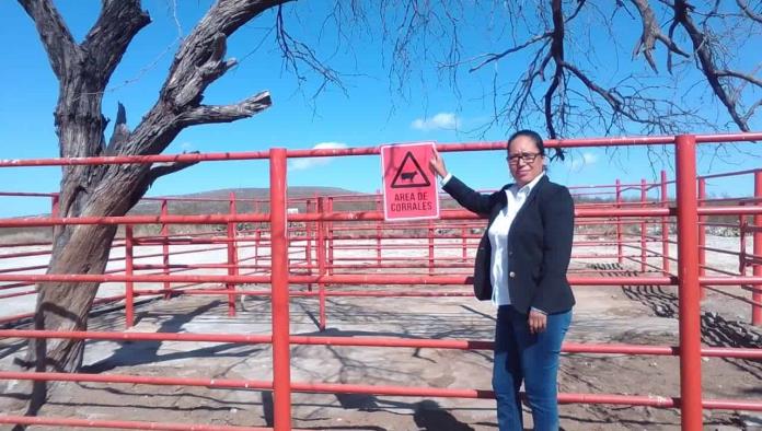 Mantienen sanidad en rastro municipal