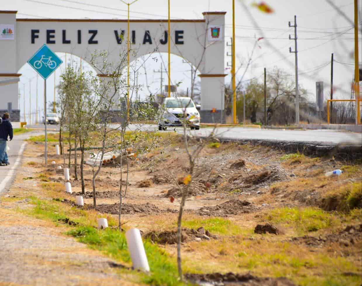Reforesta alcalde San Buenaventura