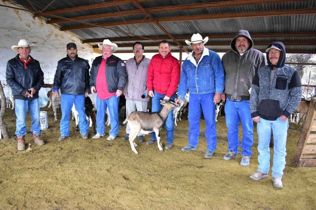 Vacuna San Buena al ganado caprino