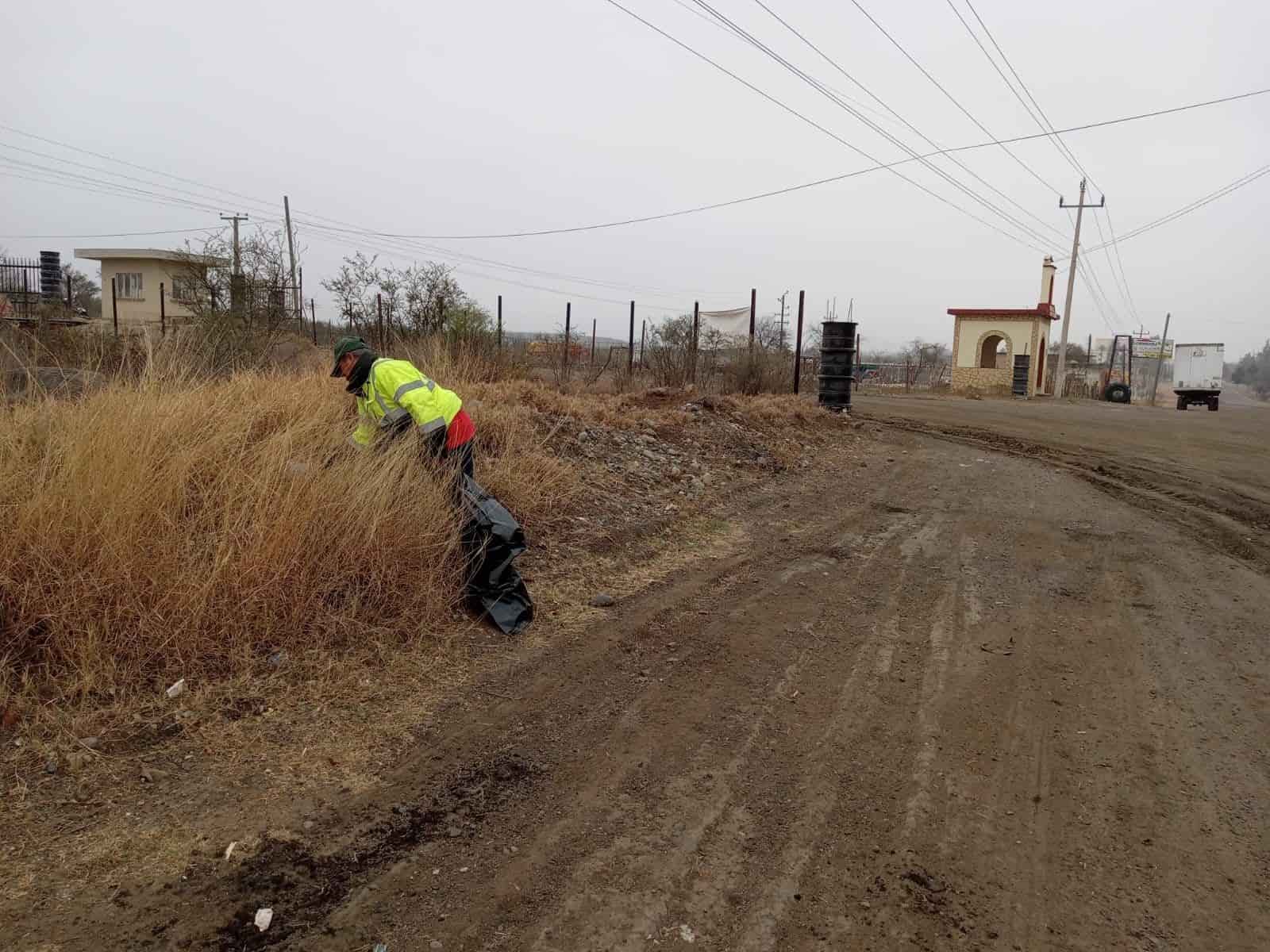 Ecología Mejora Y limpia calles
