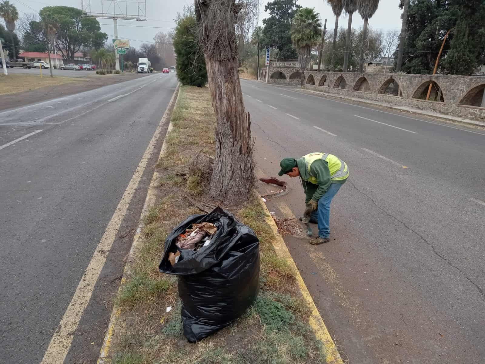 Ecología Mejora Y limpia calles