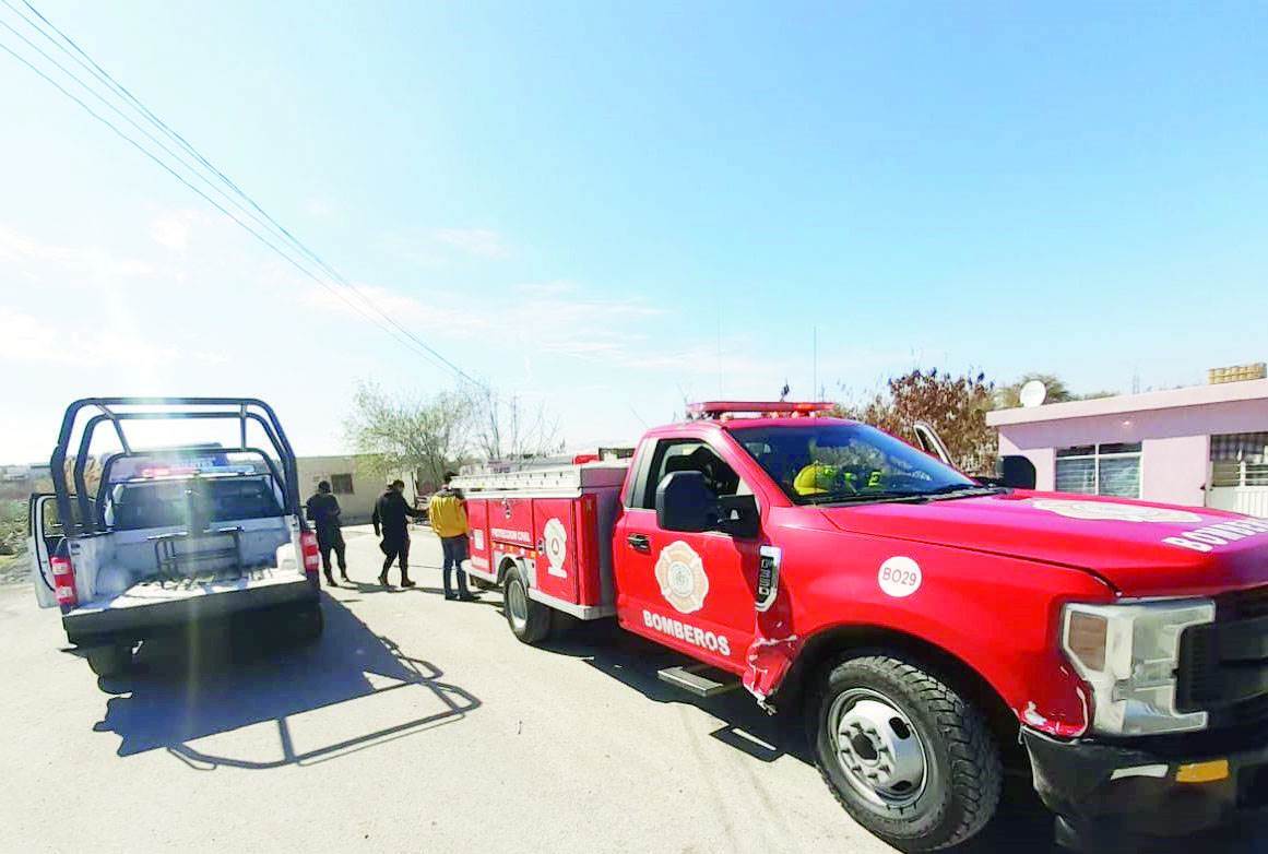 Atacan perros a niña de 10 años