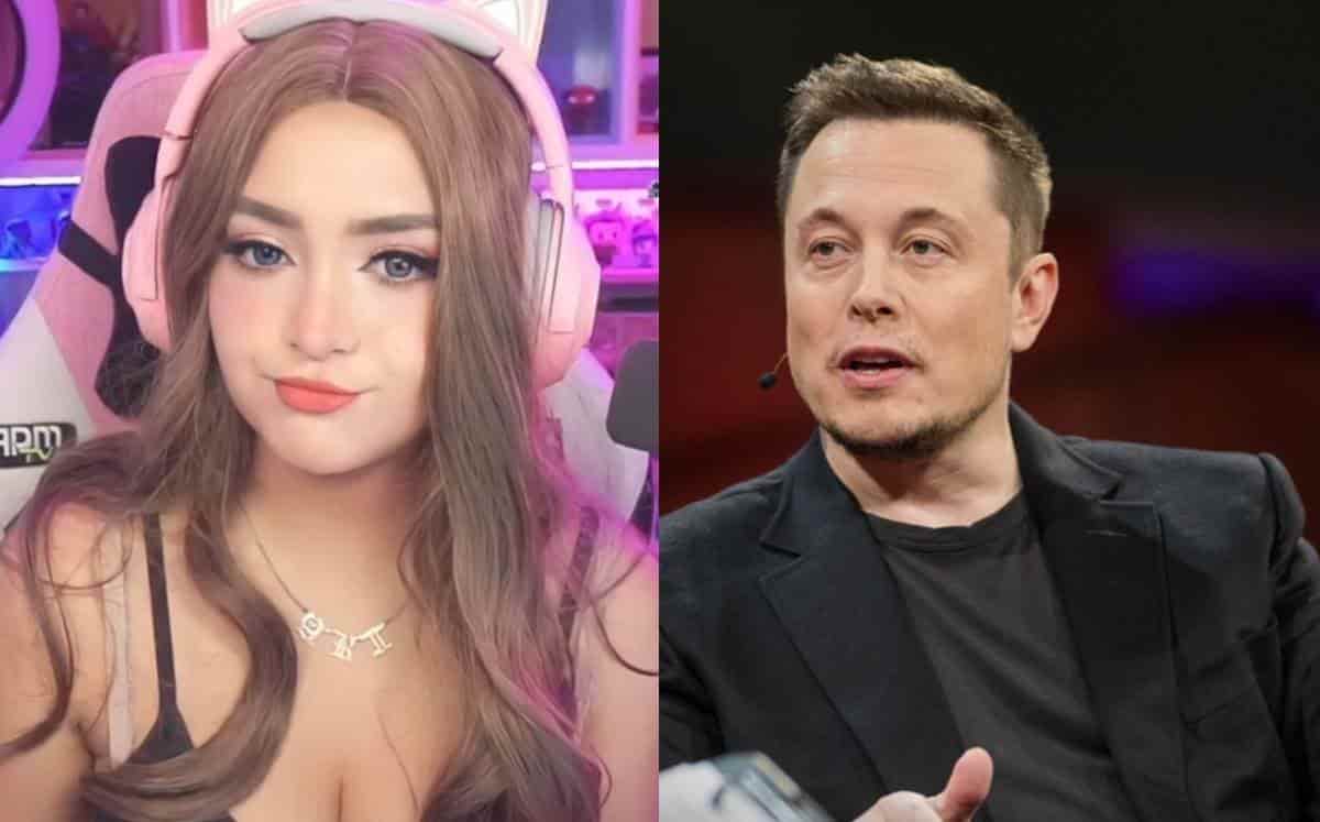 Elon Musk comenta en video de AriGameplays