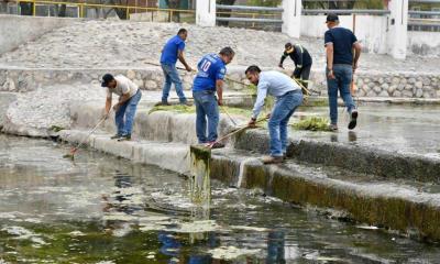 Retiran alga marina del Río Monclova