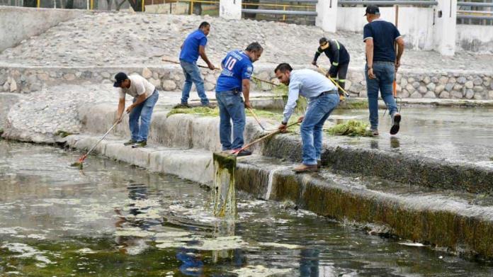 Retiran alga marina del Río Monclova Retiran alga marina del Río Monclova