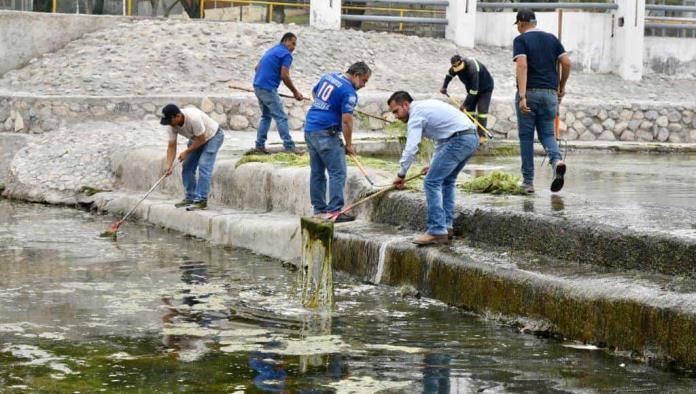 Retiran alga marina del Río Monclova