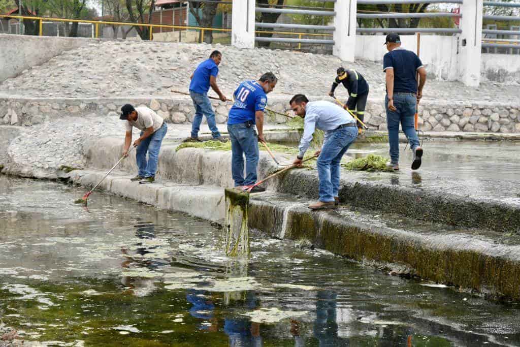 Retiran alga marina del Río Monclova Retiran alga marina del Río Monclova