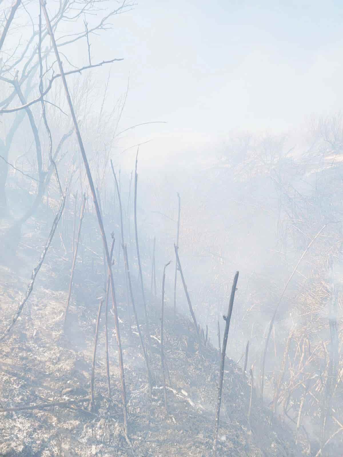 Incendio en San Juan de Boquillas