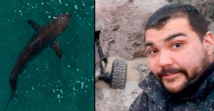 Encuentran dentro de tiburón a un desaparecido, gracias a su tatuaje fue reconocido