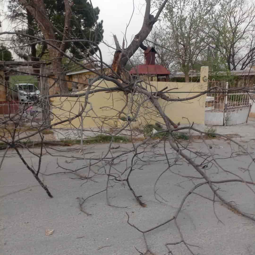 Desquicia el viento Acuña