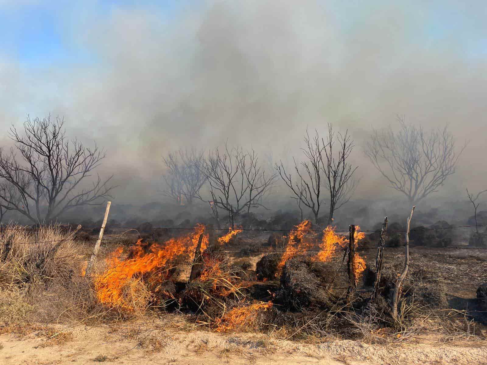 Combaten incendio en Santa Gertrudis 