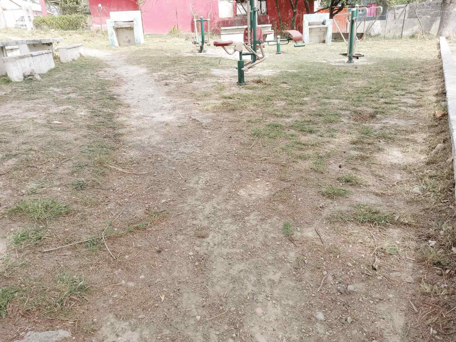 Habilita ecología “La Alberquita”