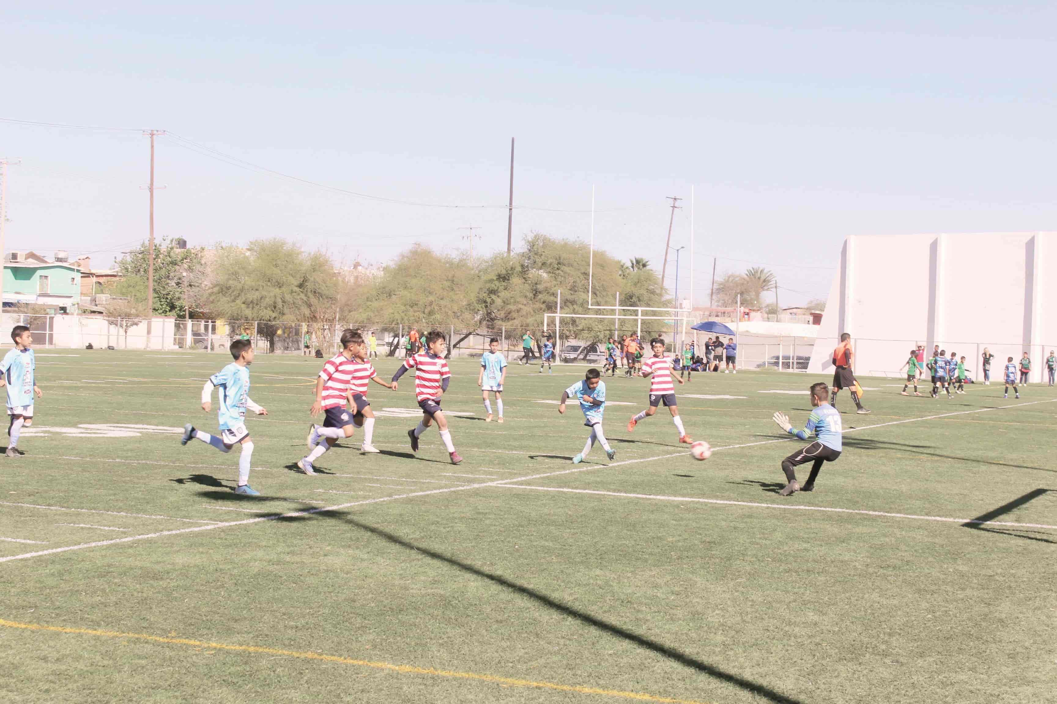 Guerreros Saltillo y Laguna Torreón ¡Triunfaron!