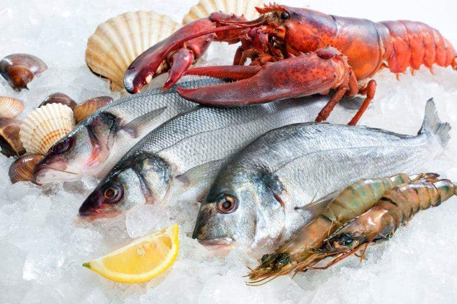 Cuidado con ingesta de mariscos: IMSS