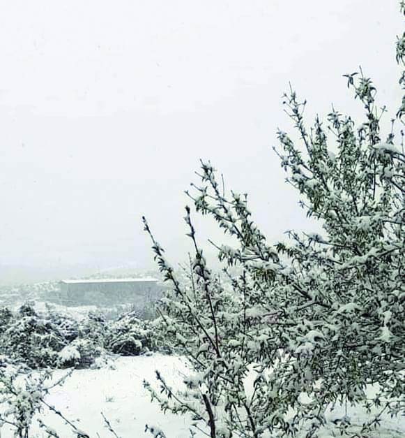 Sorprende nevada en pleno marzo