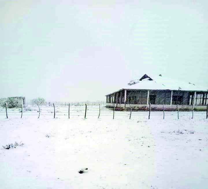 Sorprende nevada en pleno marzo