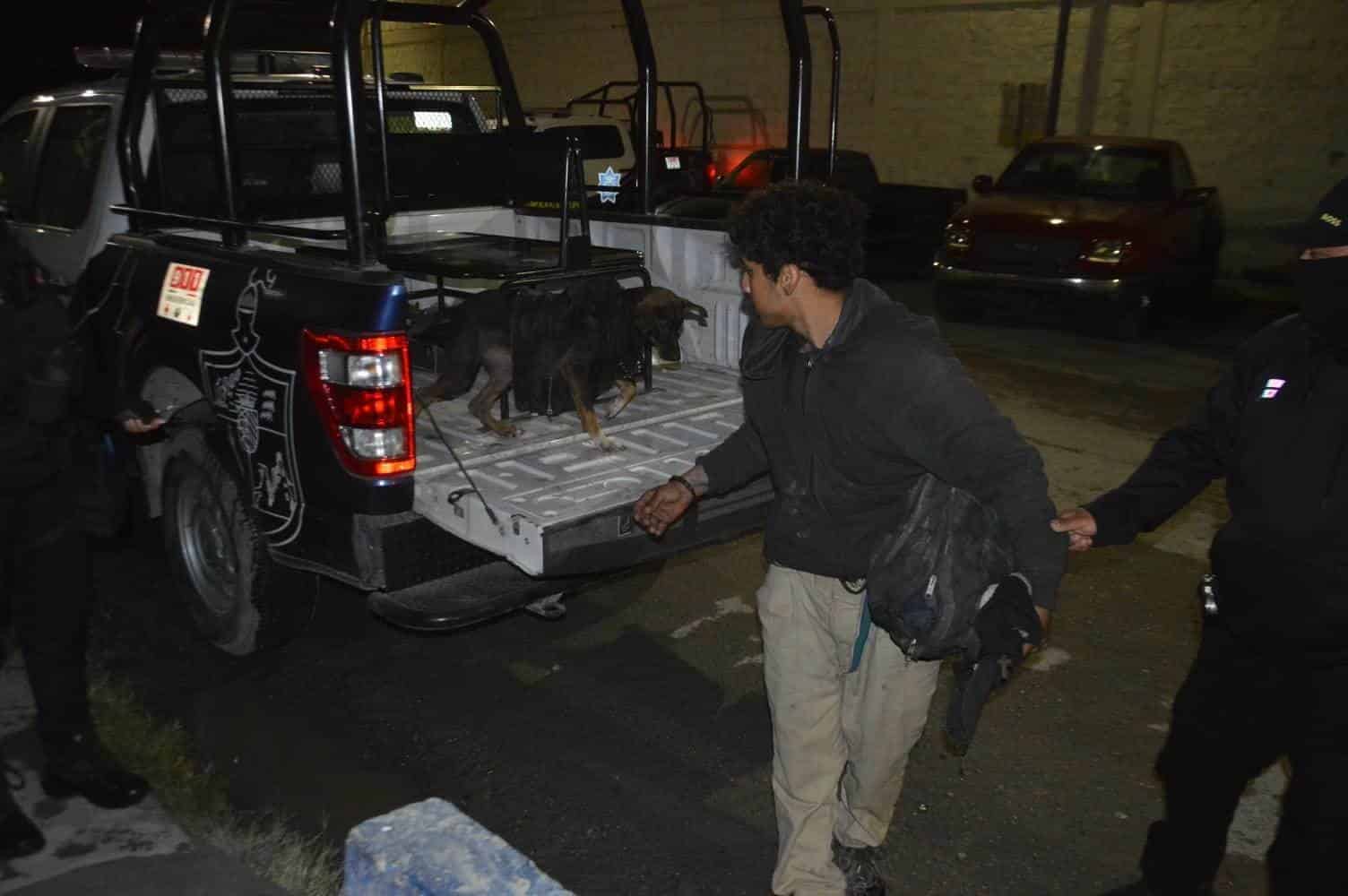Solo en Monclova: Arrestan a perro ‘rockero’
