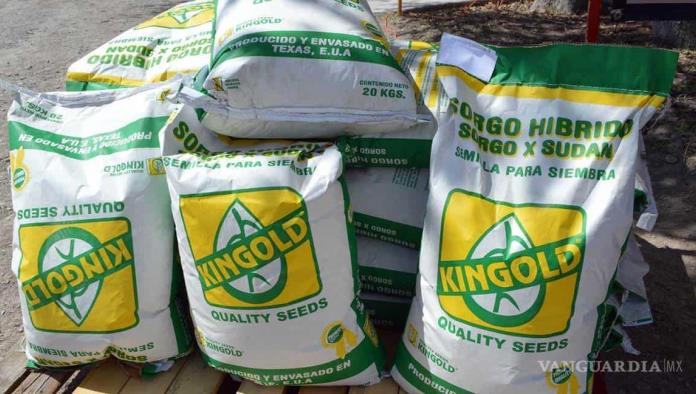 Destinan 9 toneladas de sorgo forrajero