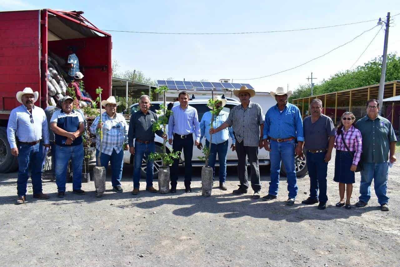 Entregan nogales a los agricultores