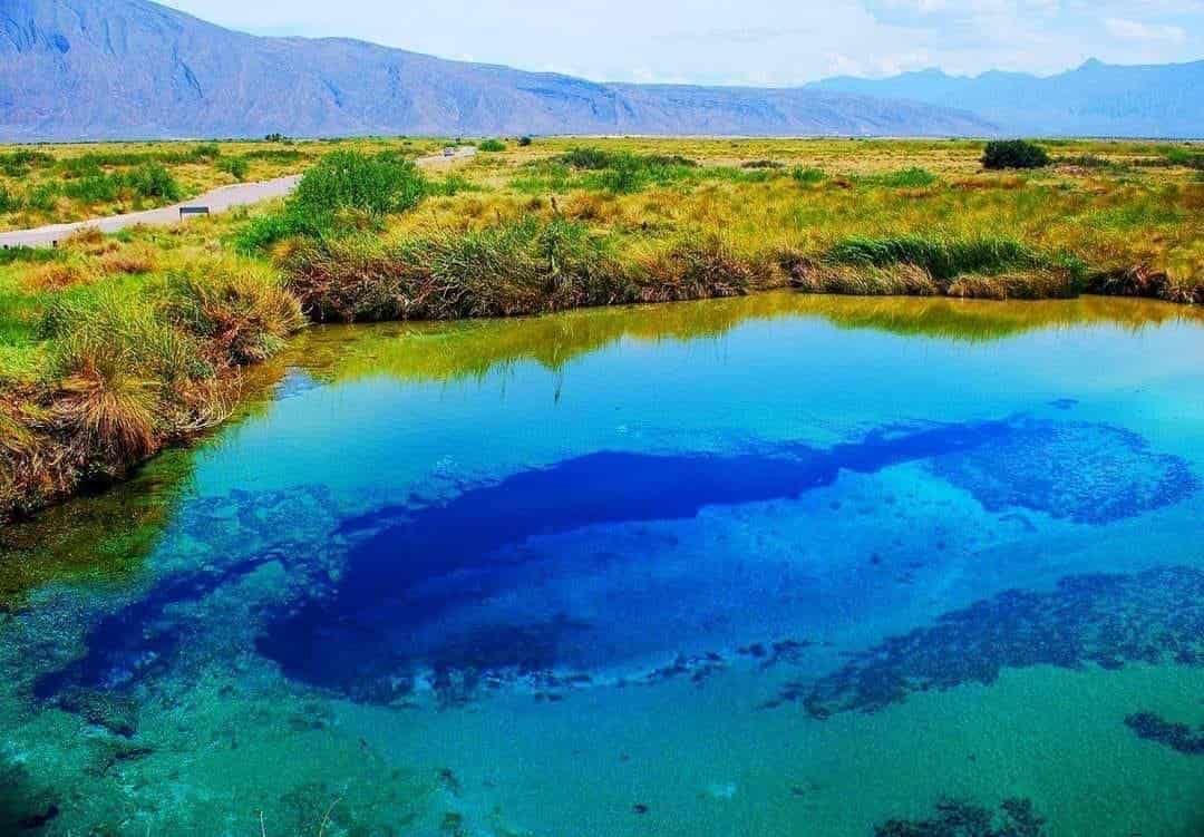 Ciénegas recibe a miles de visitantes