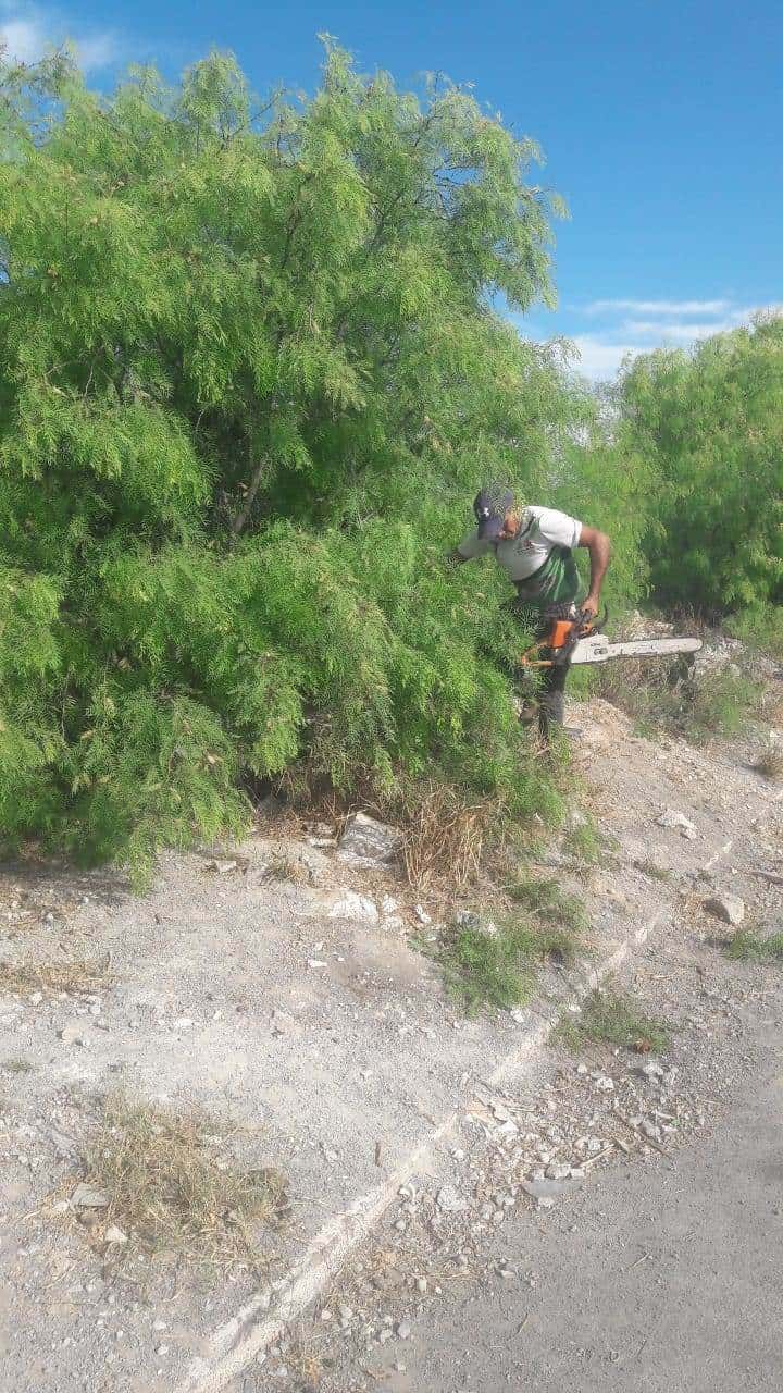 Cuida San Buena Imagen Urbana