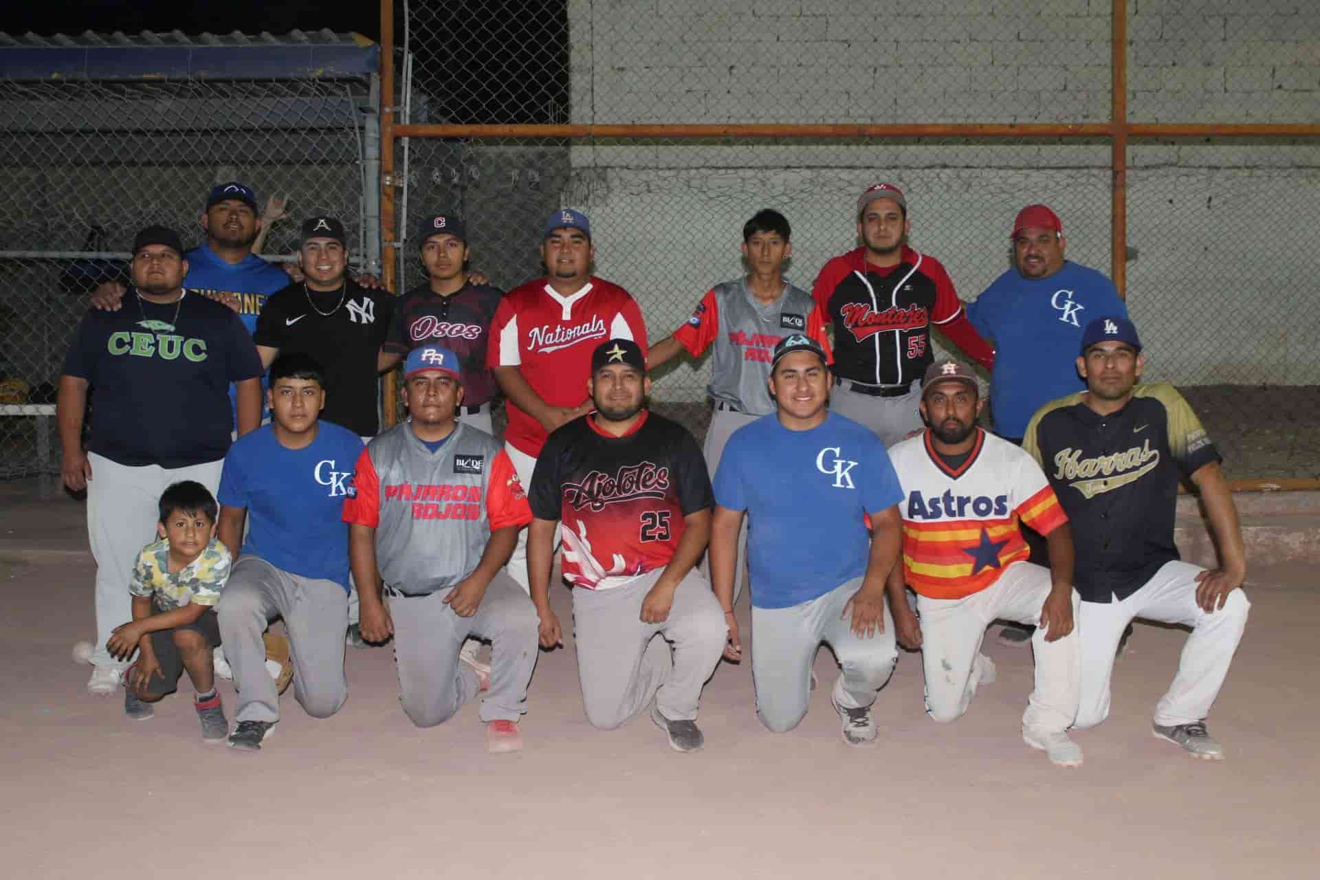 Liga municipal de softbol Pericos