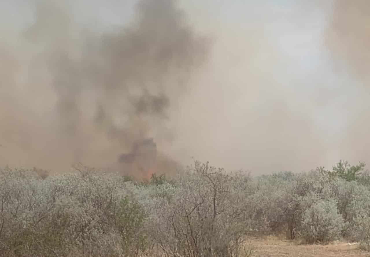 Arde pastizal en El Cenizal