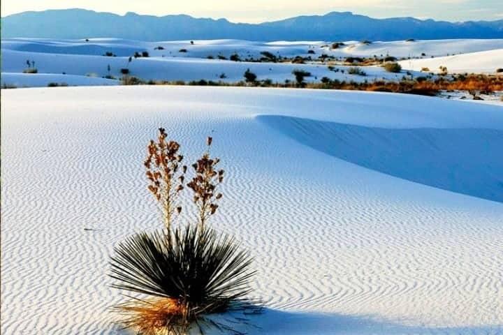 Se llena de vida Cuatro Ciénegas
