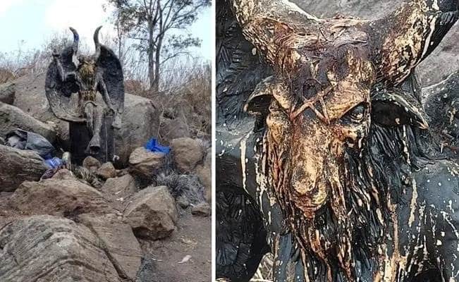 Hallan altar satánico con varios animales muertos
