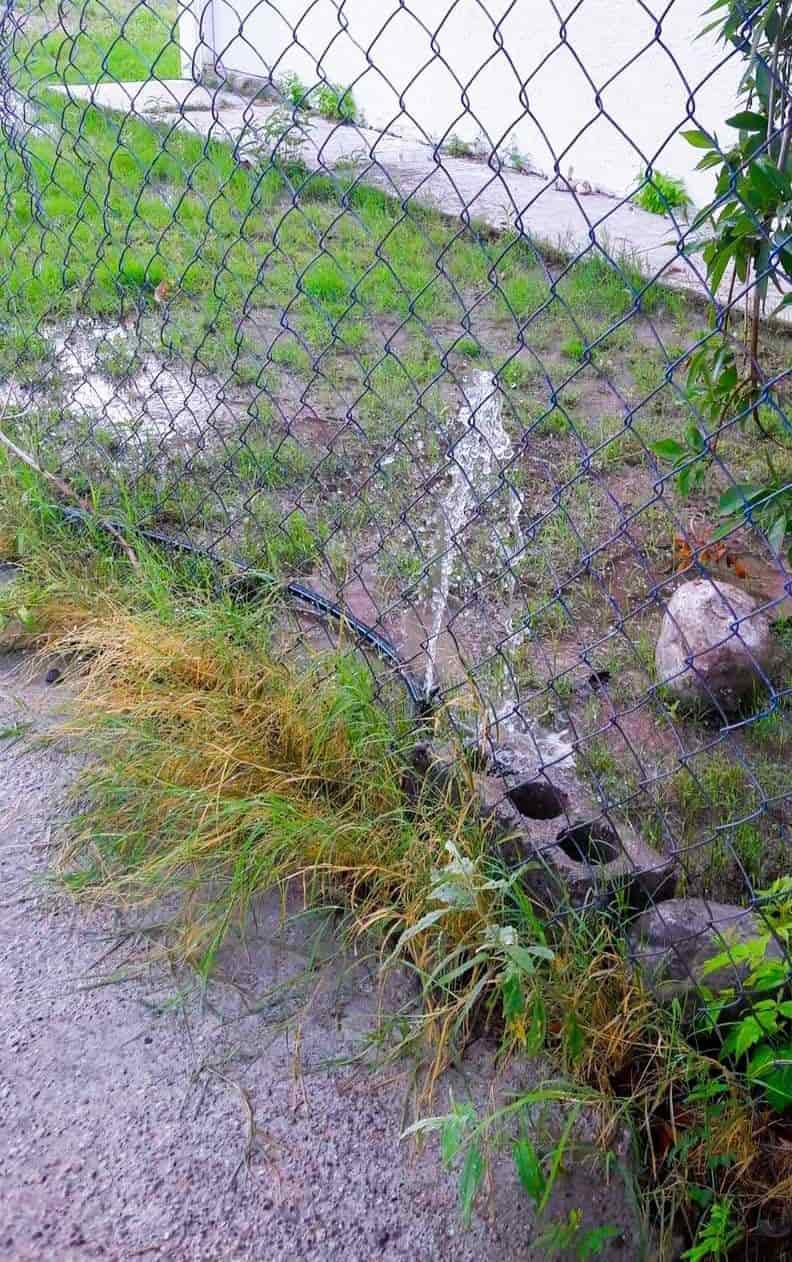 Continúan usuarios Desperdiciando agua