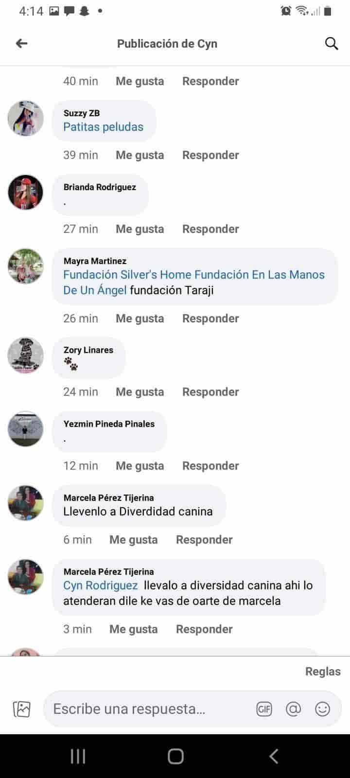 Termina protesta y se olvidan de perros