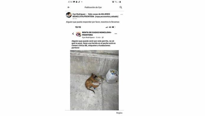 Termina protesta y se olvidan de perros