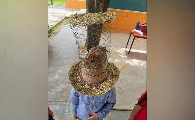 Con un Pollito madre de familia crea sombrero loco, estilo ranchero