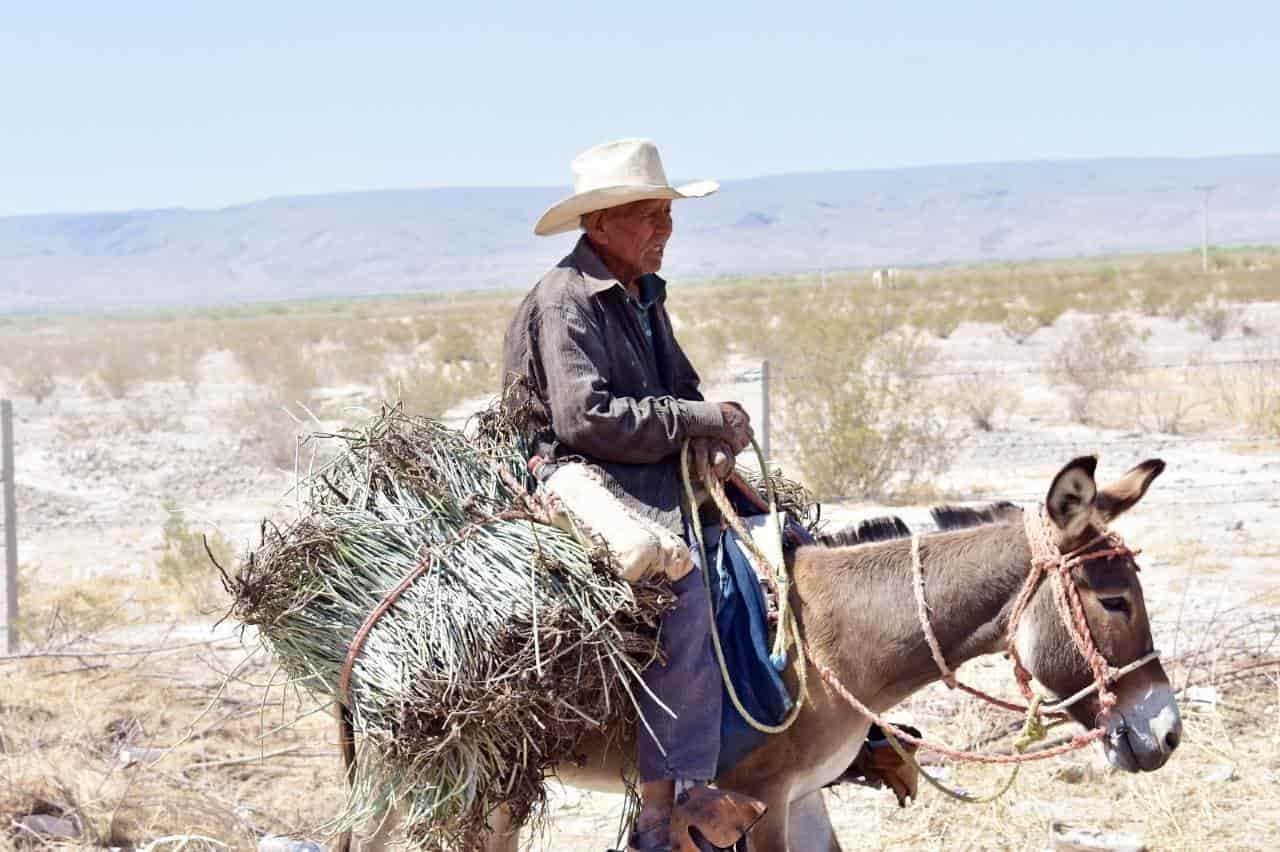 Respalda Beto A candelilleros