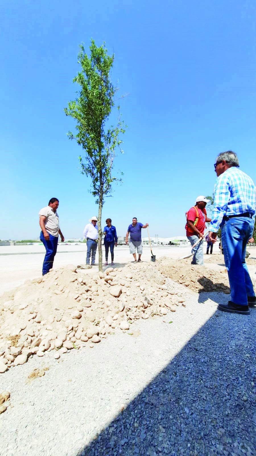 Plantan 50 arboles en Unidad Deportiva