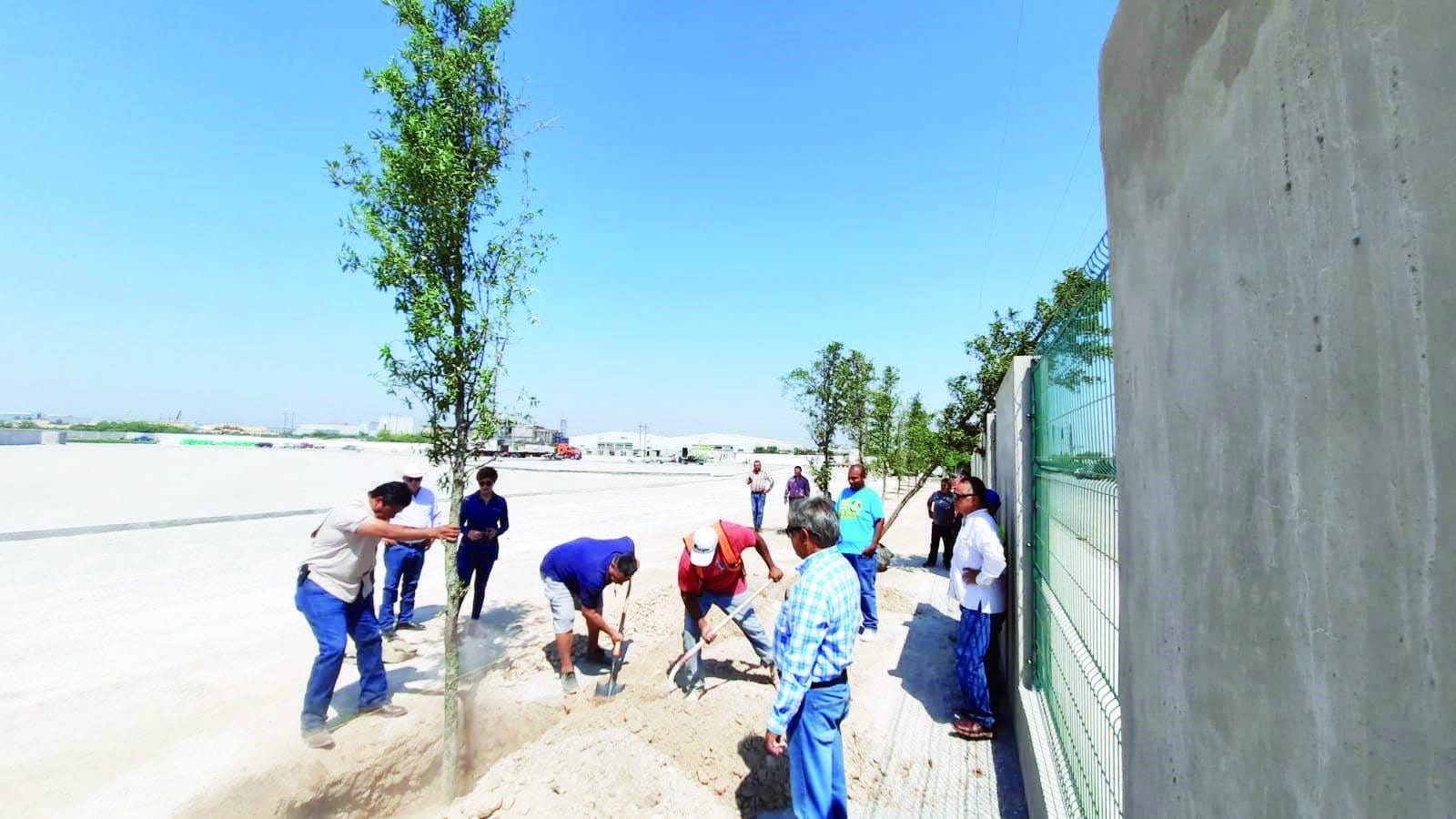 Plantan 50 arboles en Unidad Deportiva