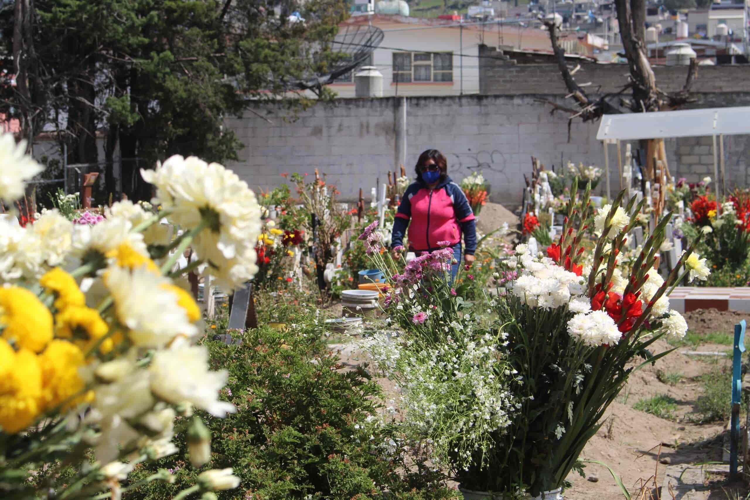 Visitan a su Madre en El panteón
