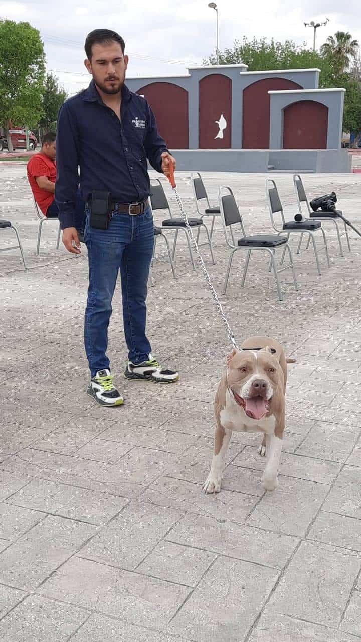 Arranca Centro de Protección Animal