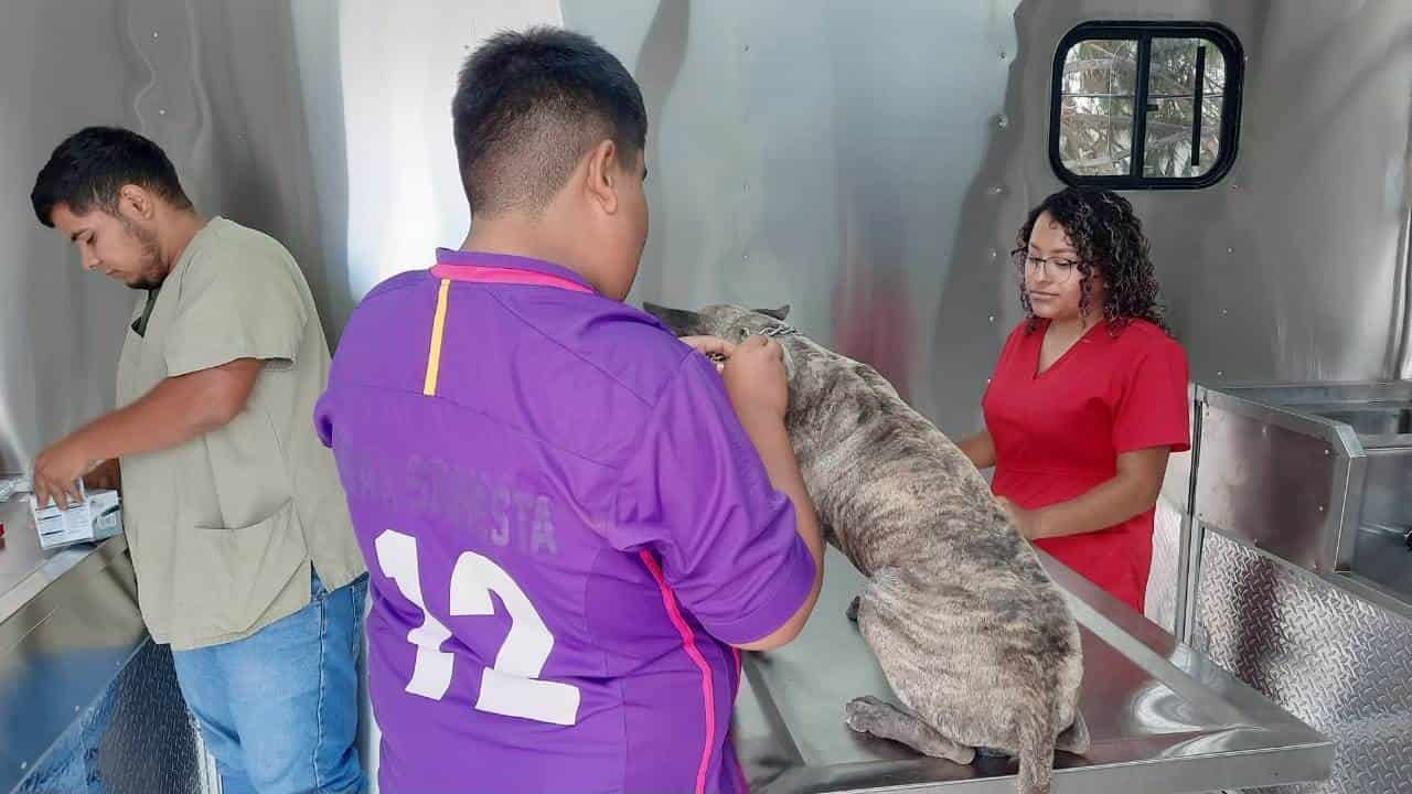 Arranca Centro de Protección Animal