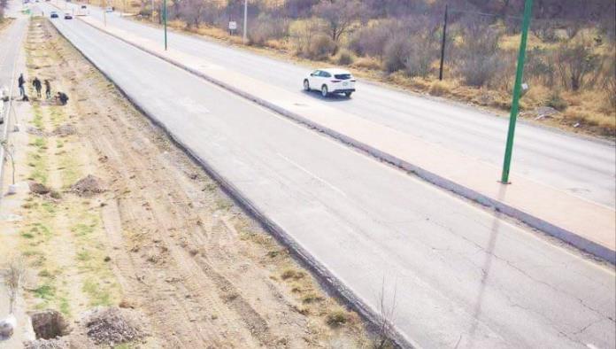 Sigue en SB reforestación