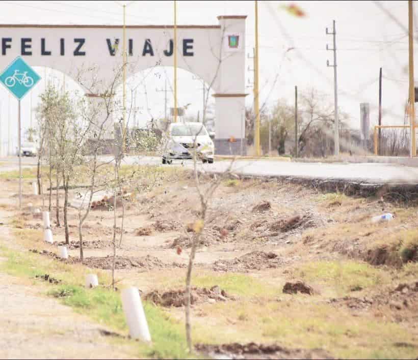 Sigue en SB reforestación