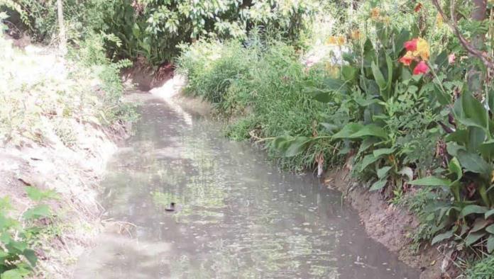 Gracias a la lluvia Llevan sequías más agua