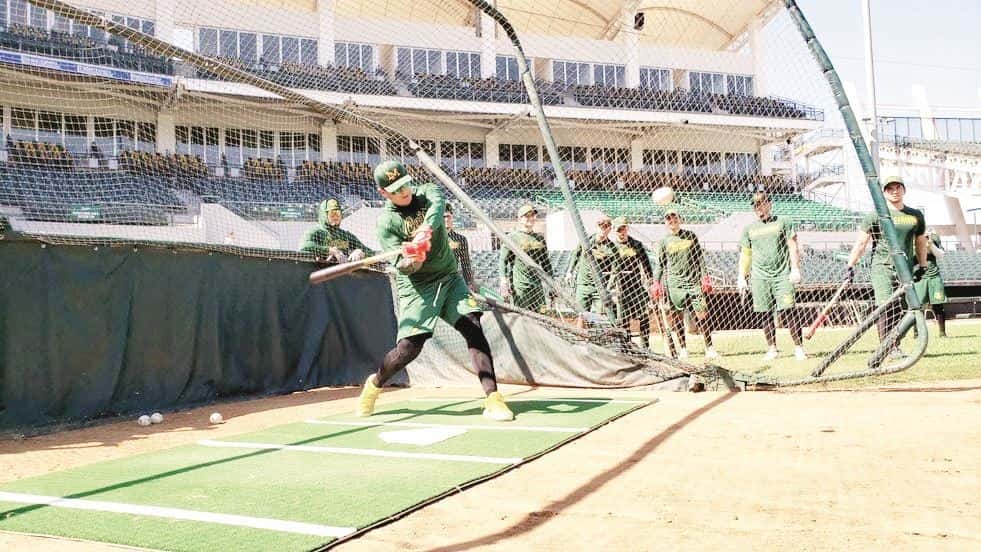 Acereros tiene nuevo coach de bateo